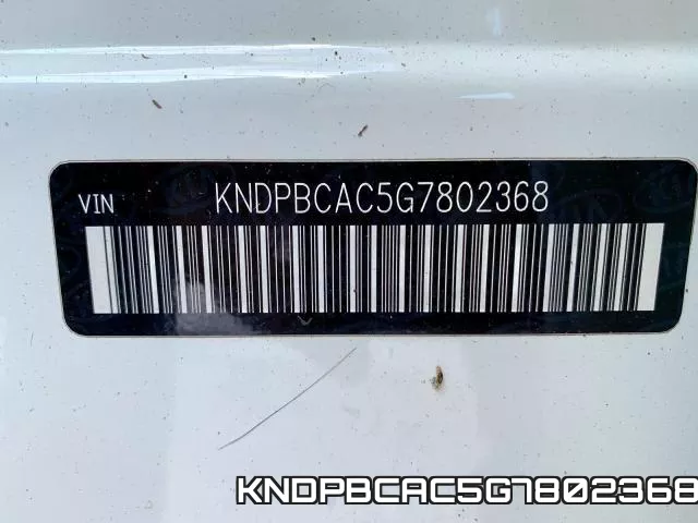 KNDPBCAC5G7802368_9.webp