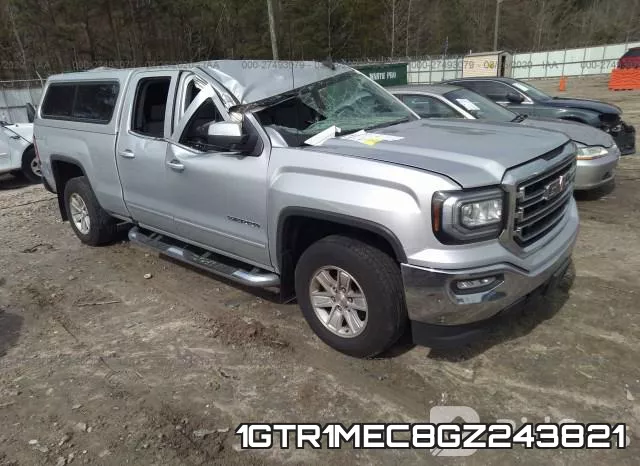 1GTR1MEC8GZ243821