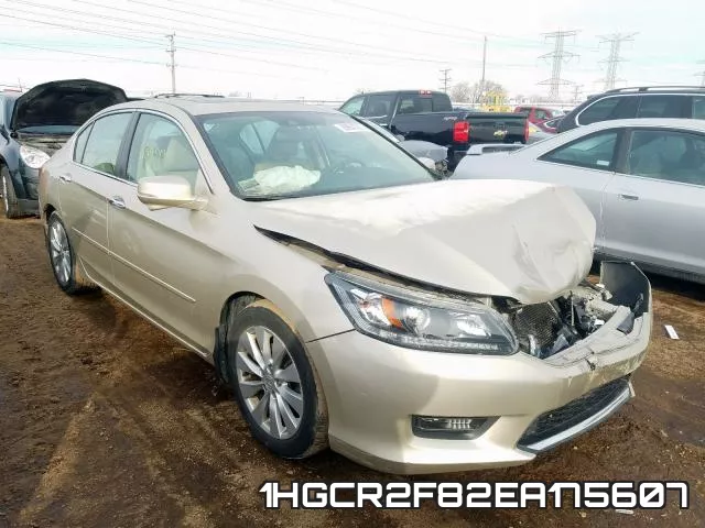 1HGCR2F82EA175607
