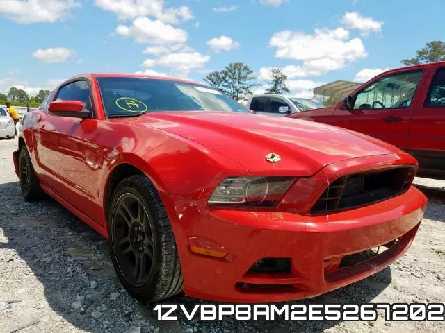 1ZVBP8AM2E5267202