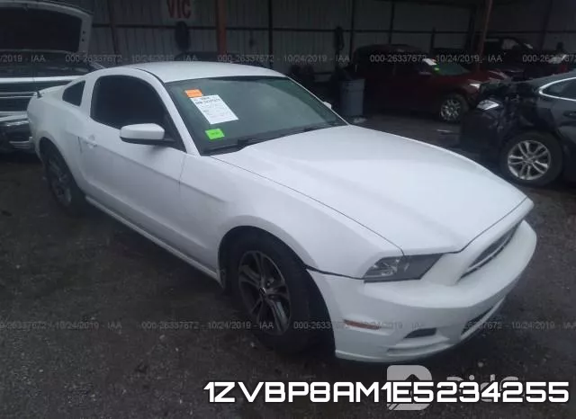 1ZVBP8AM1E5234255