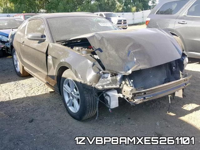 1ZVBP8AMXE5261101