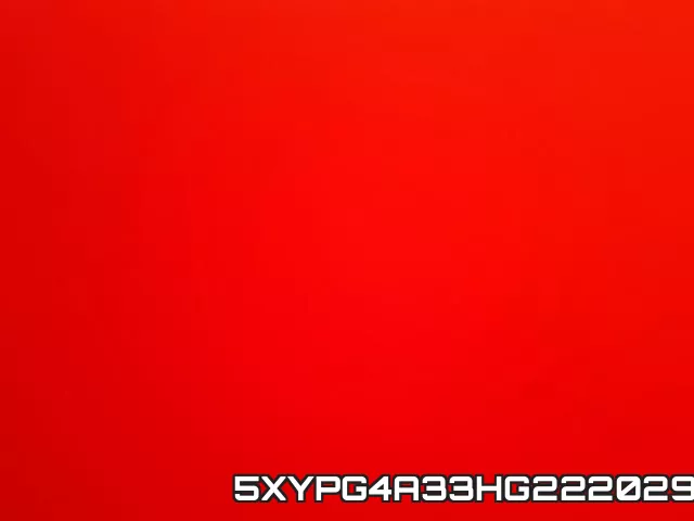 5XYPG4A33HG222029_9.webp