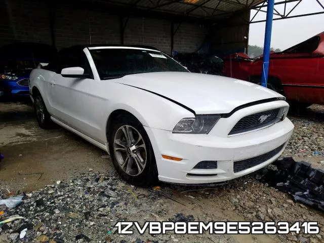 1ZVBP8EM9E5263416