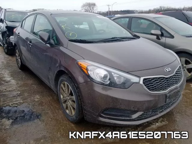 KNAFX4A61E5207763