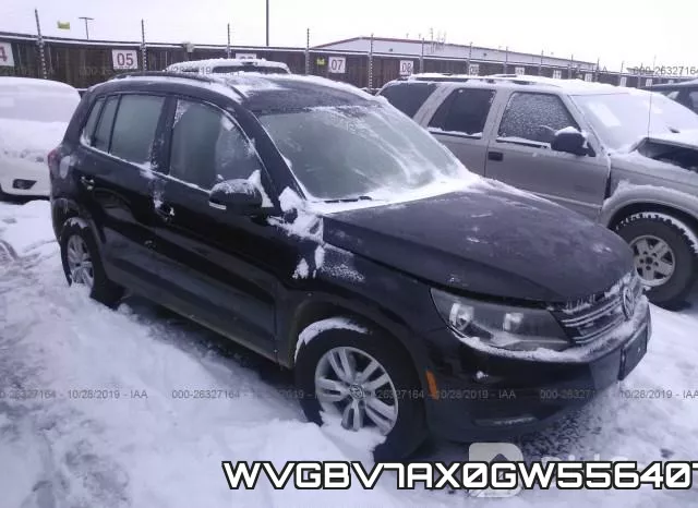 WVGBV7AX0GW556407