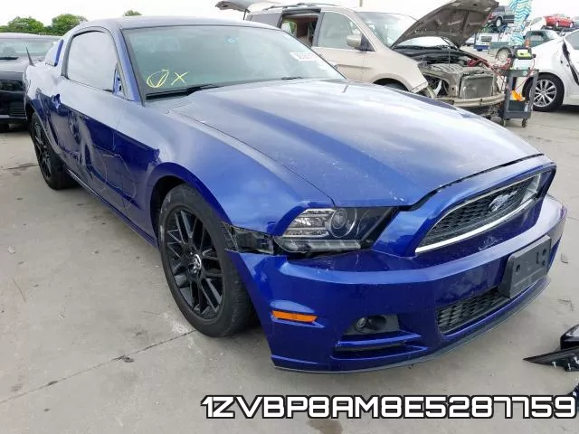 1ZVBP8AM8E5287759