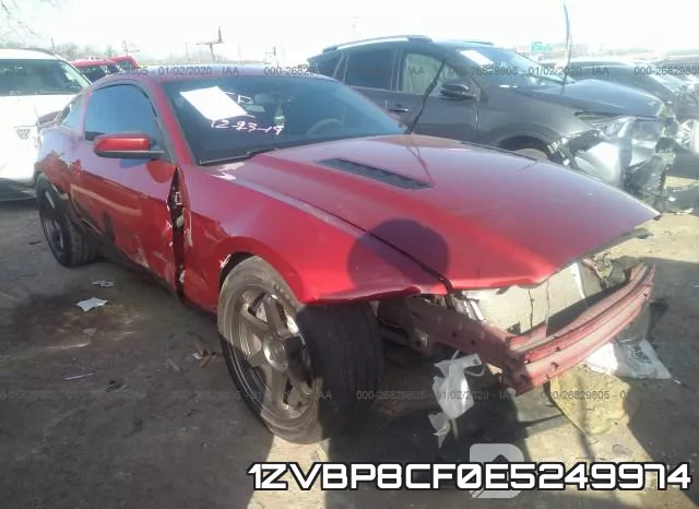 1ZVBP8CF0E5249974