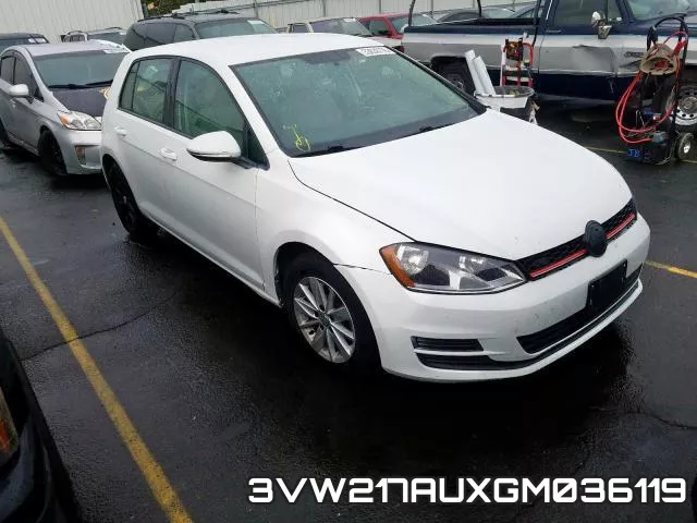3VW217AUXGM036119