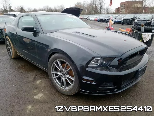 1ZVBP8AMXE5254410