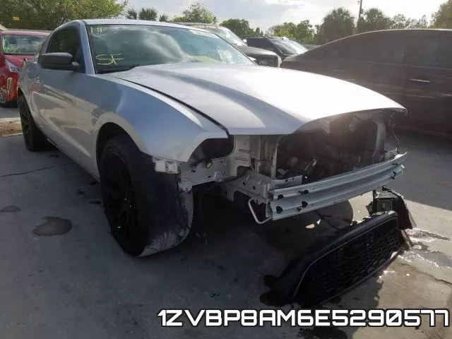 1ZVBP8AM6E5290577