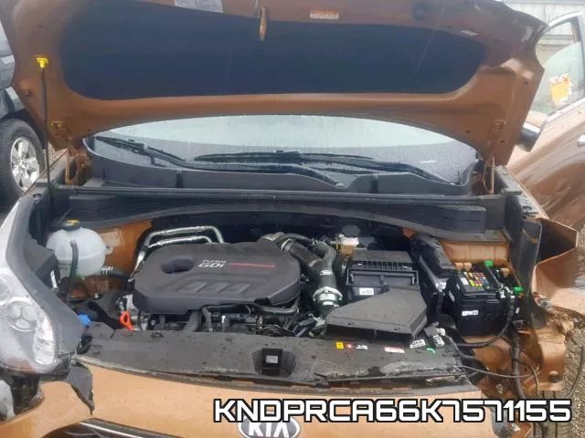 KNDPRCA66K7571155_7.webp