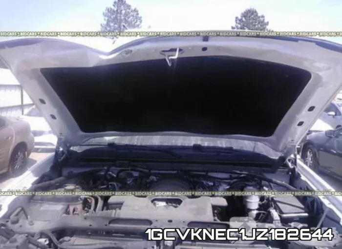1GCVKNEC1JZ182644_10.webp