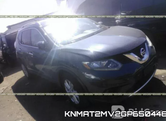 KNMAT2MV2GP650446