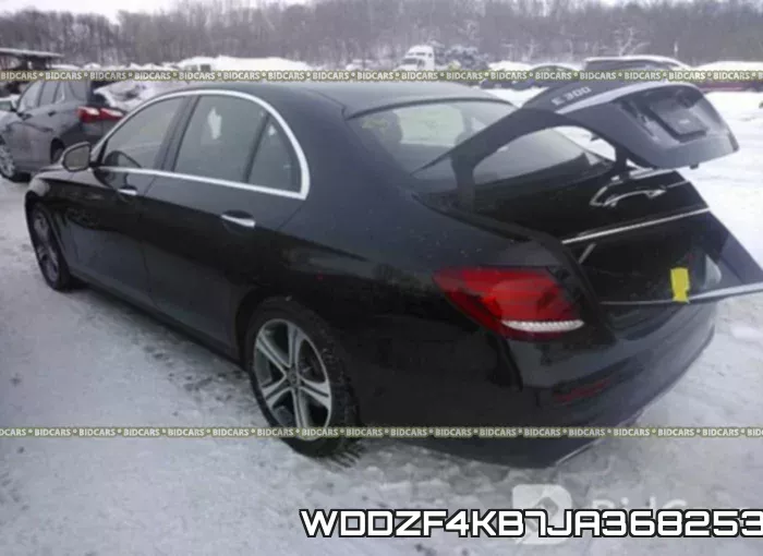 WDDZF4KB7JA368253_3.webp