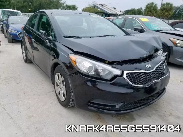 KNAFK4A65G5591404