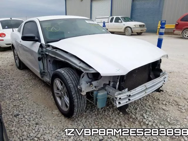 1ZVBP8AM2E5283898