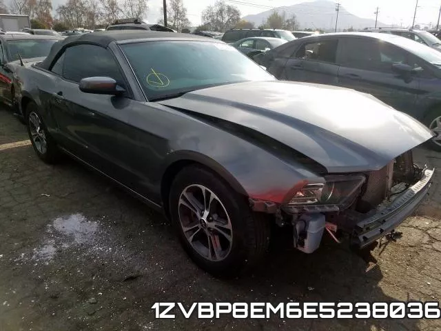 1ZVBP8EM6E5238036
