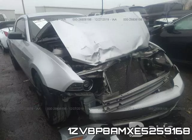 1ZVBP8AMXE5259168