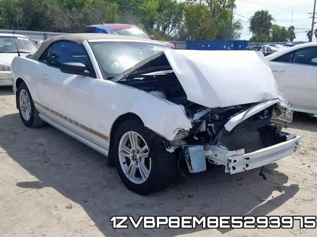 1ZVBP8EM8E5293975