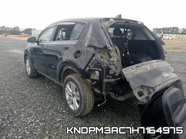 KNDPM3AC7H7164975_3.webp