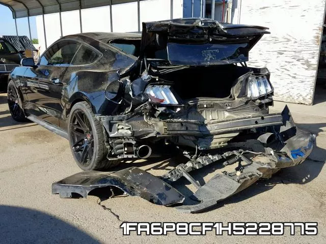 1FA6P8CF1H5228775_3.webp