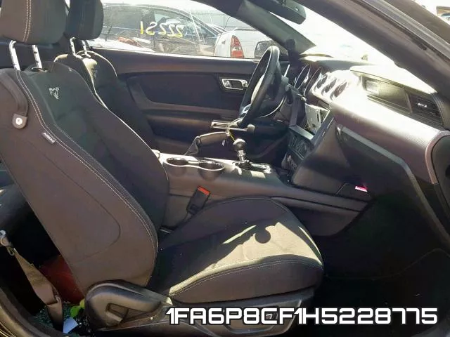 1FA6P8CF1H5228775_5.webp