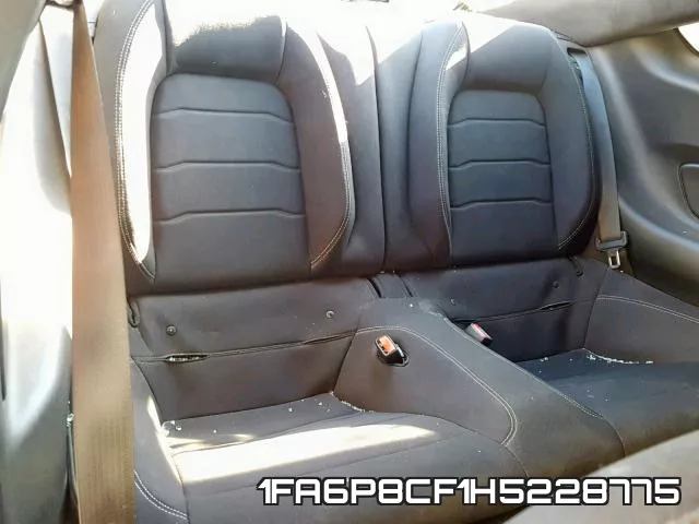 1FA6P8CF1H5228775_6.webp