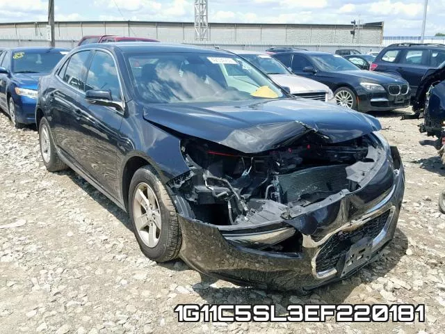 1G11C5SL3EF220181