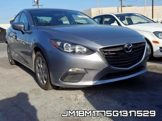 JM1BM1T75G1317529
