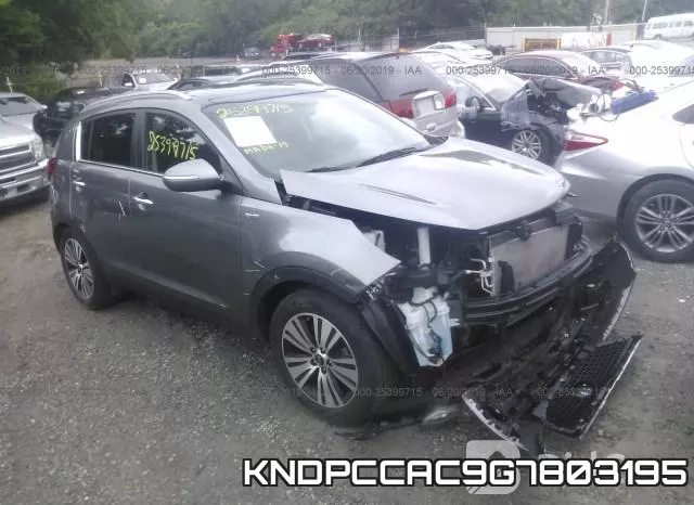 KNDPCCAC9G7803195