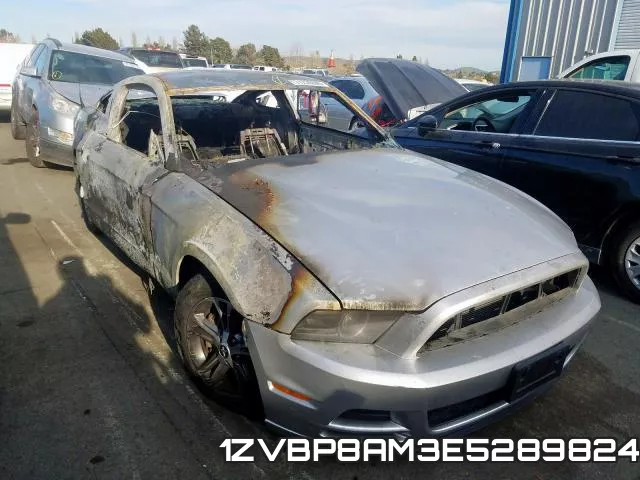 1ZVBP8AM3E5289824