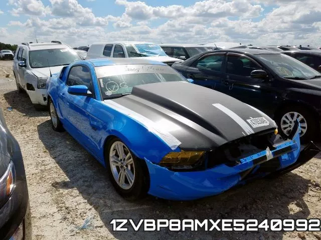 1ZVBP8AMXE5240992