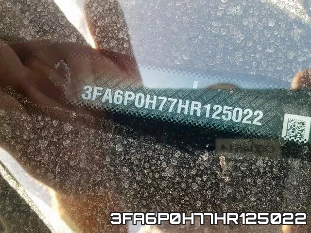 3FA6P0H77HR125022_10.webp