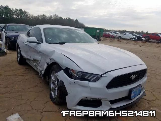1FA6P8AM6H5214811_1.webp