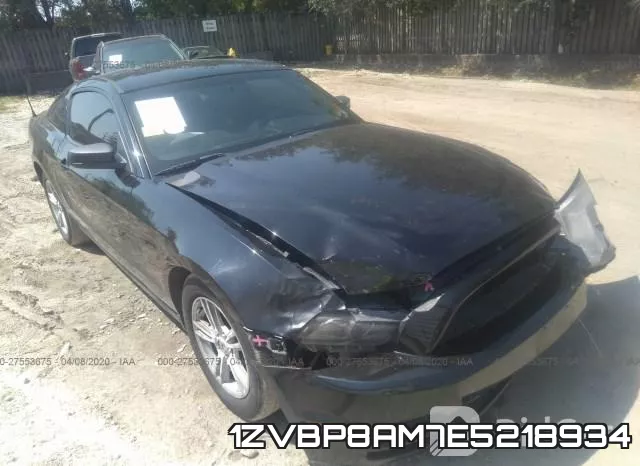 1ZVBP8AM7E5218934