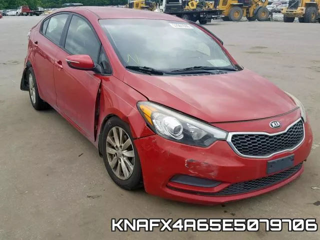 KNAFX4A65E5079706