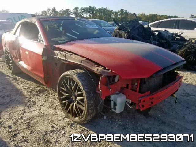 1ZVBP8EM8E5293071