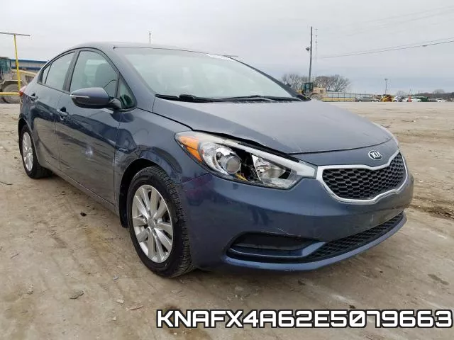 KNAFX4A62E5079663