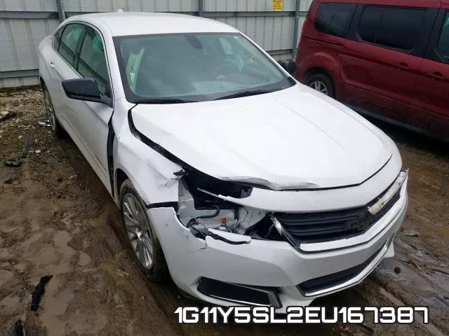 1G11Y5SL2EU167387