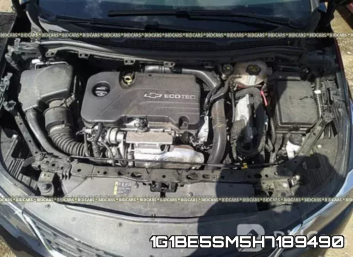 1G1BE5SM5H7189490_10.webp