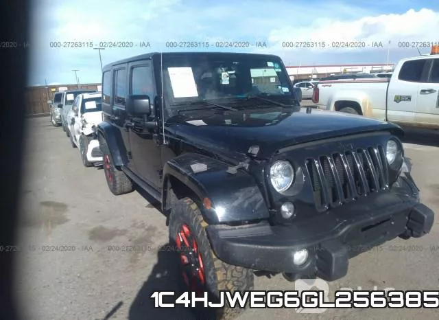 1C4HJWEG6GL256385