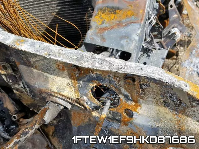 1FTEW1EF9HKD87686_10.webp