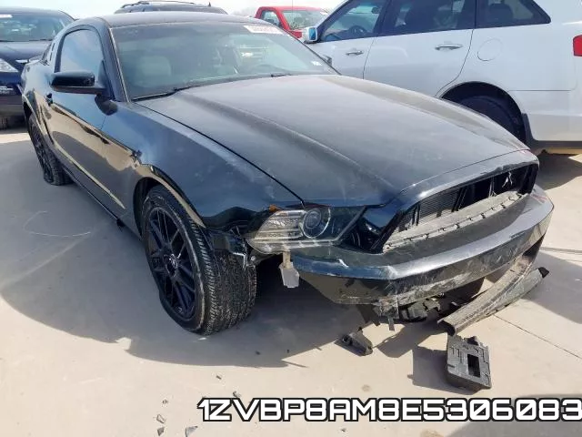 1ZVBP8AM8E5306083