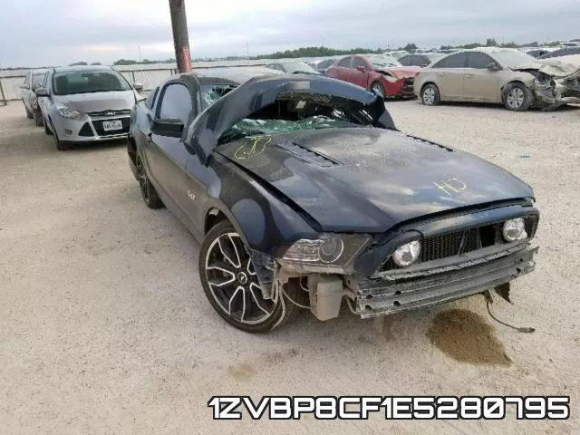 1ZVBP8CF1E5280795