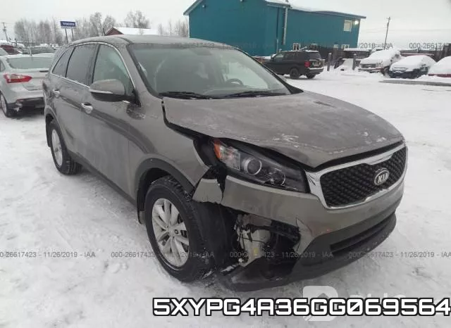 5XYPG4A36GG069564