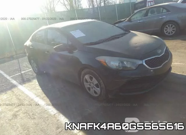 KNAFK4A60G5565616