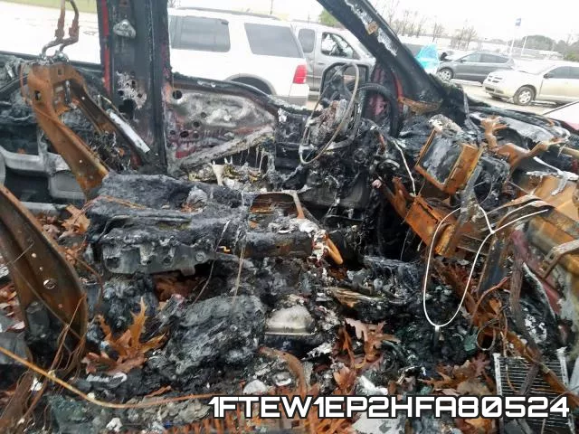 1FTEW1EP2HFA80524_5.webp