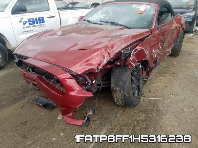1FATP8FF1H5316238