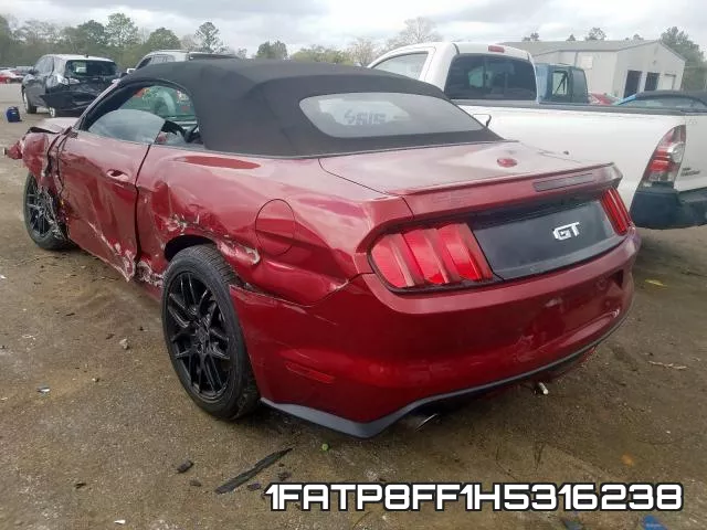 1FATP8FF1H5316238_3.webp